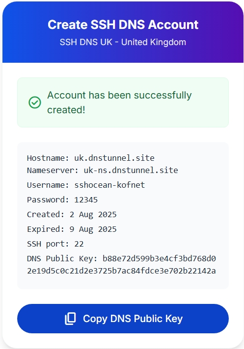 Slow DNS Account Details